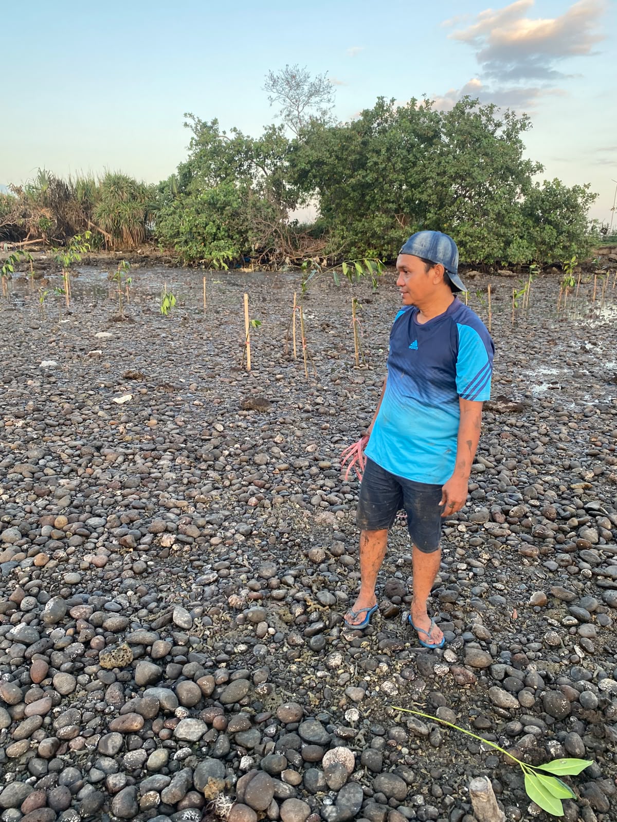 🌱 SEHARI DITANAM, ESOK DIPANTAU! Komitmen Ketua RW 06 Ujung Labbu Menjaga Harapan Hijau Pesisir Lembang